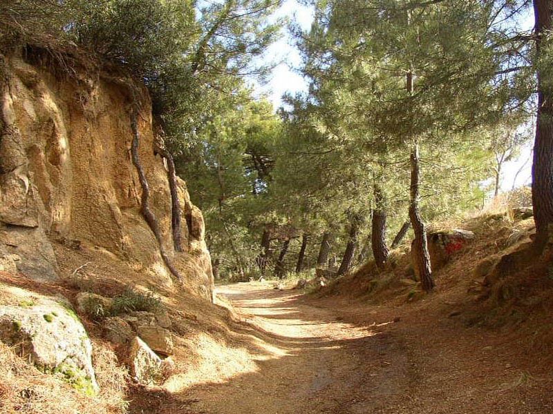 Ruta MTB de 114 km