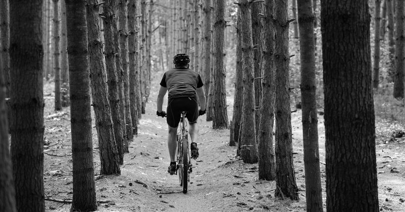Qué cubierta usar para mi MTB