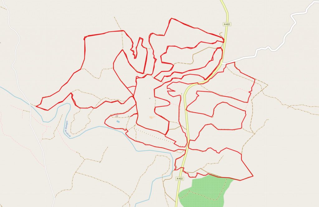 VII BTT MONTE MALAGON
